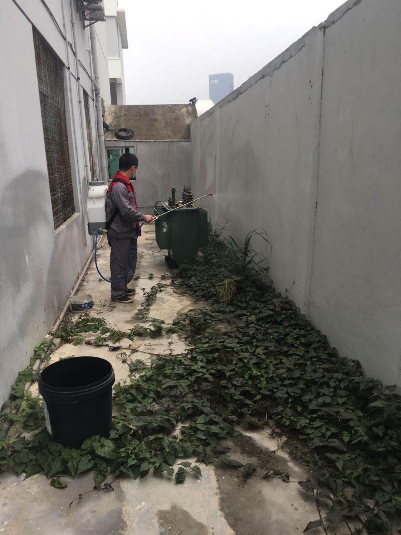 南昌市馬蜂窩清除公司電話-上門清除馬蜂窩_徹底消滅