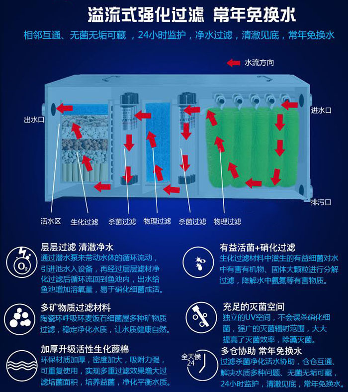 锦鲤鱼池全自动过滤器-盐城锦鲤鱼池过滤器-奥利仕