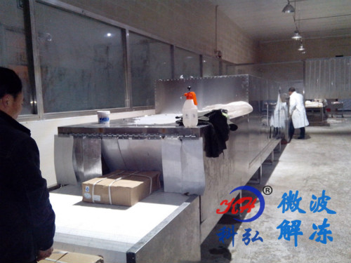 大型微波解凍設備公司-科弘微波