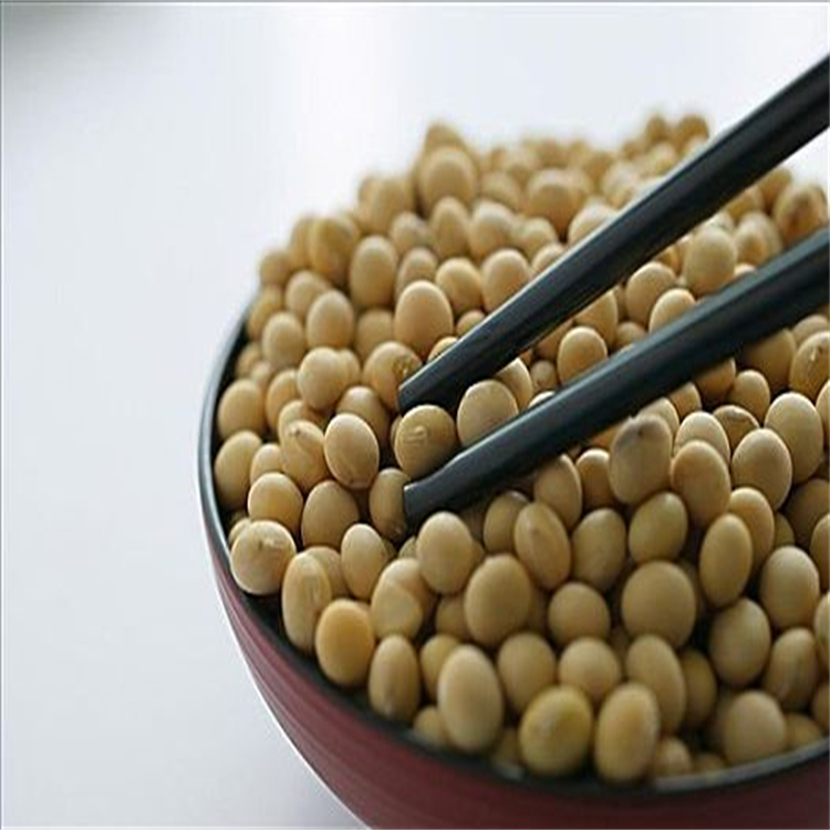 大連口岸進口亞麻籽報關 歡迎來電咨詢/解決您的煩惱