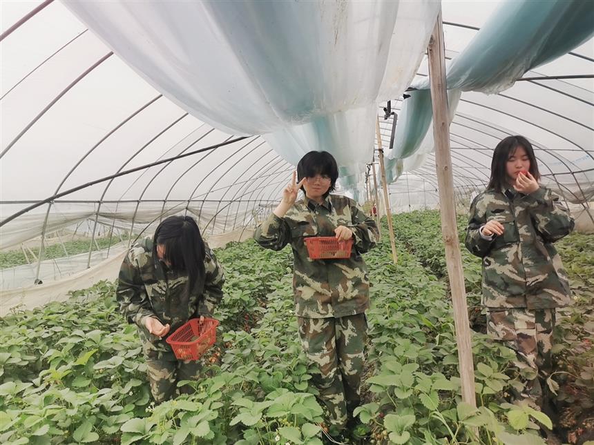 嘉魚縣18歲的孩子不聽管教怎么辦