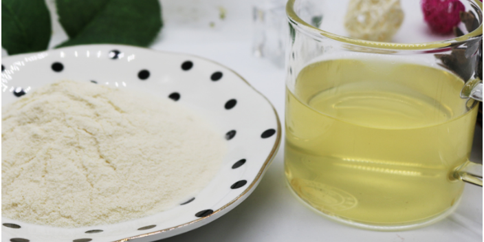 吉林果蔬凍干果干加工哪家技術好 干燥加工 煙臺通元共和食品供應