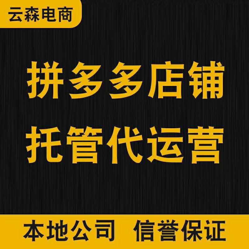 内江市拼多多无货源店群机构