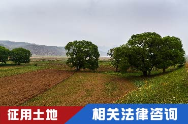 青岛市南区拆迁补偿政策