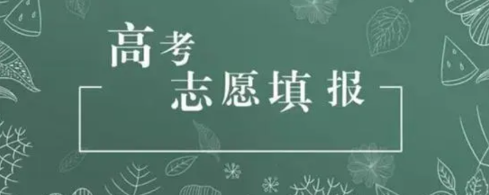 美术专业高考志愿填报一对一服务怎么收费 明夏教育咨询供应