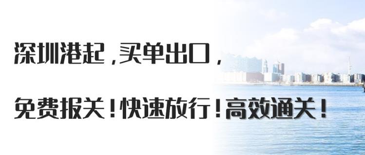 珠海马来西亚东南亚双清到门海运专线