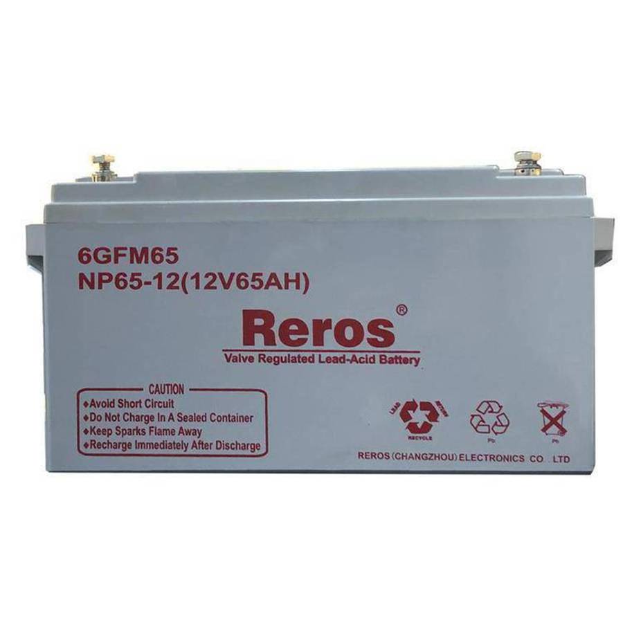 雷諾士Reros蓄電池6GFM65 NP65-12 12V65AH直流屏 基站儲能