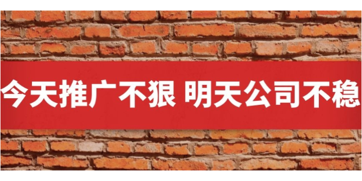 河北淘寶網絡宣傳優勢 保定創天網絡科技供應