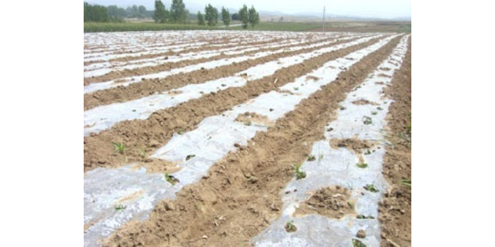 太原黄色复合**膜材料 深圳市绿自然生物降解科技供应