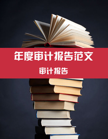 湘乡市内部审计报告收费标准