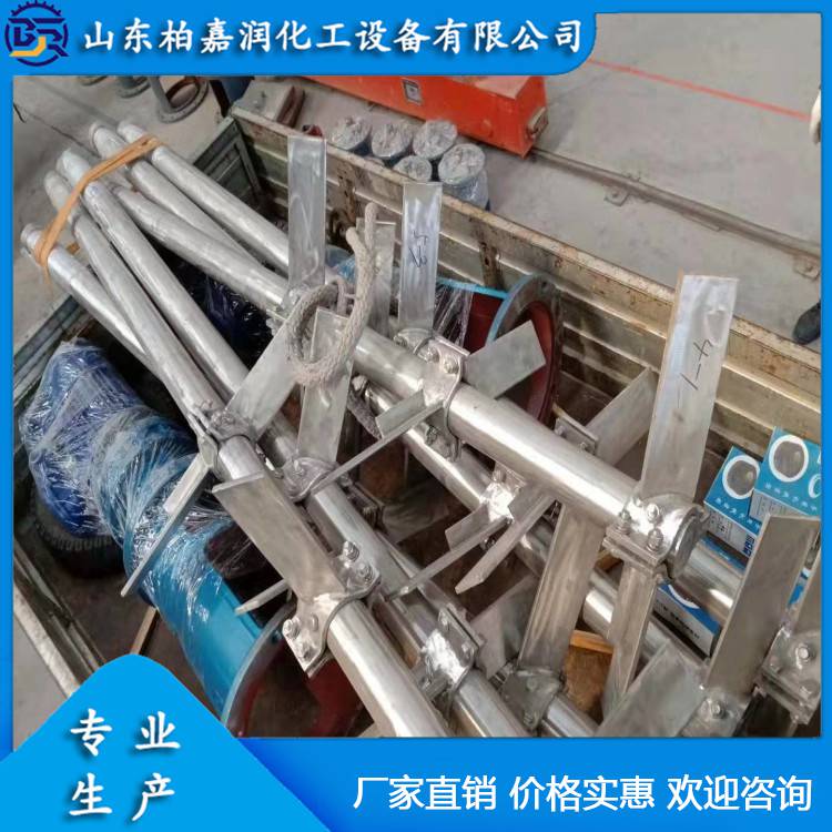攪拌器-柏嘉潤-立式環流攪拌器  