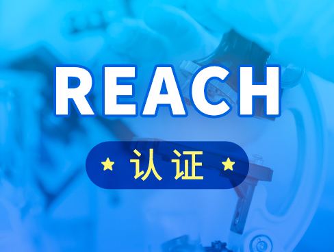 reach认证的检测标准