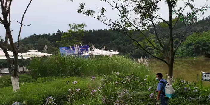 四川家庭馬陸千足蟲滅治公司 四川蜀都害蟲防治供應