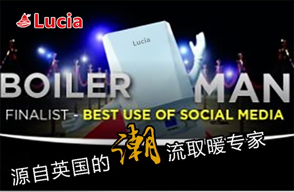 家用燃氣壁掛爐-朗廷壁掛爐-自貢壁掛爐