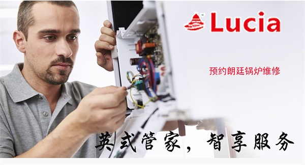 壁掛爐安裝-朗廷壁掛爐-哈密地區壁掛爐