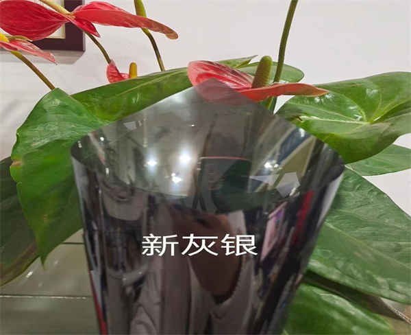 隔热玻璃贴膜-安徽龙葵|防窥隐私-合肥玻璃贴膜