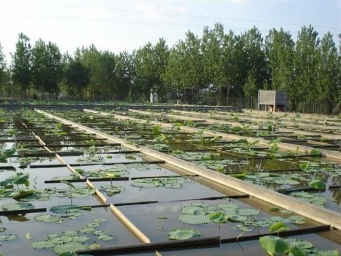 黑色防渗土工膜每平米价格