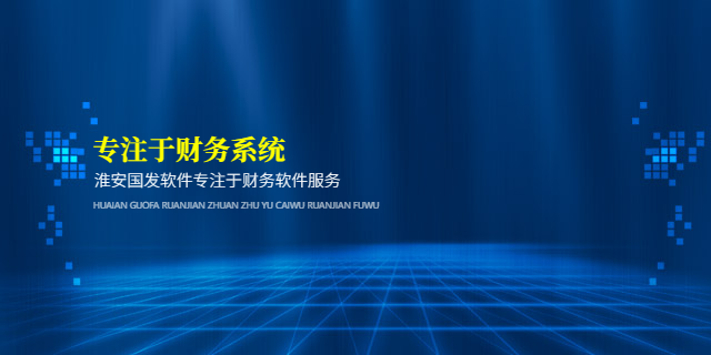 淮安企業財務系統有哪些 淮安國發軟件供應