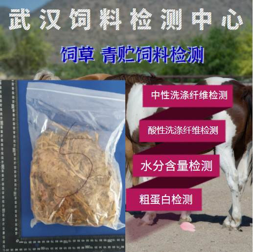 濱州膨化飼料常規檢測