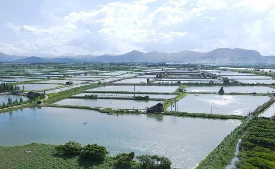 海南土工膜生物降解测试中心