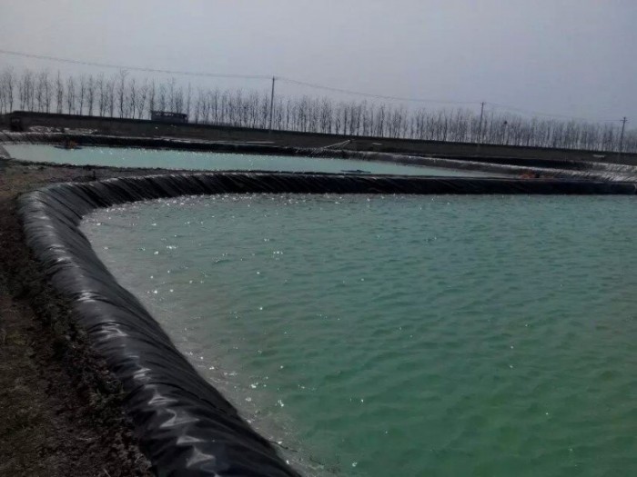 柳州魚池防滲膜廠商 魚池防滲膜