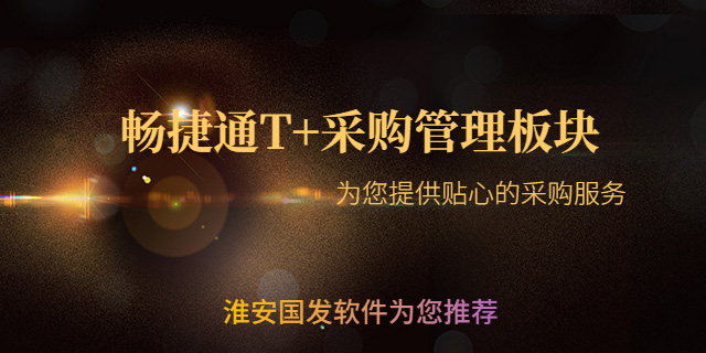 江蘇一體化的用友T+軟件服務好 貼心服務 淮安國發軟件供應