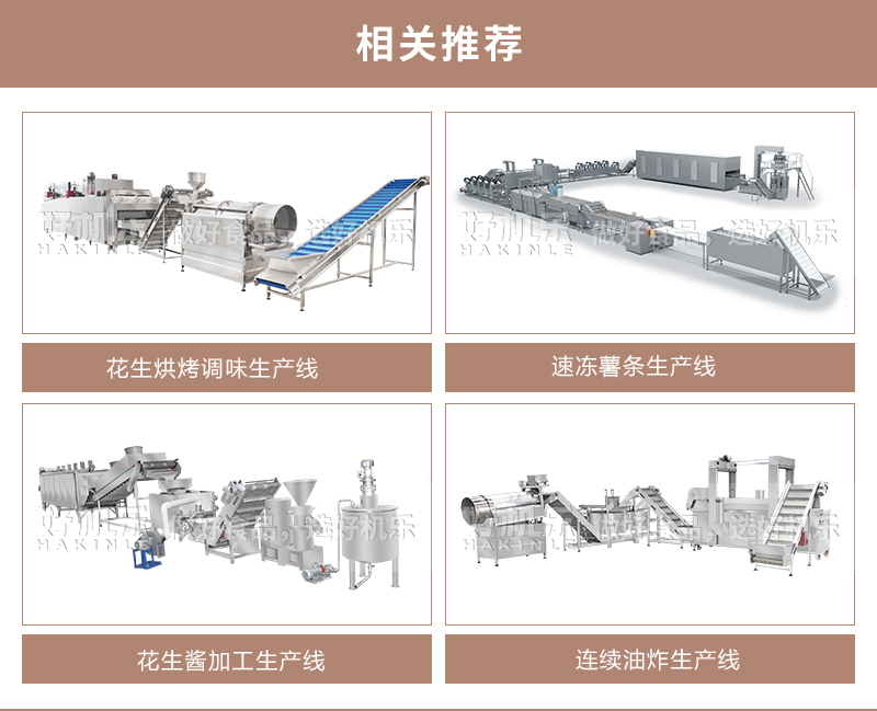 河南开心果烘烤生产线