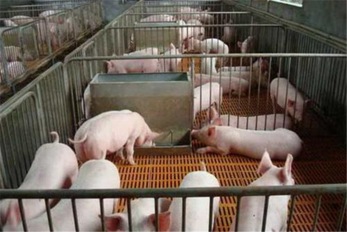 水產飼料進口注冊登記備案 合規培訓