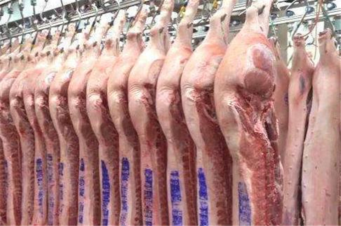 魚飼料進口MARA證書申請手續 政策解讀