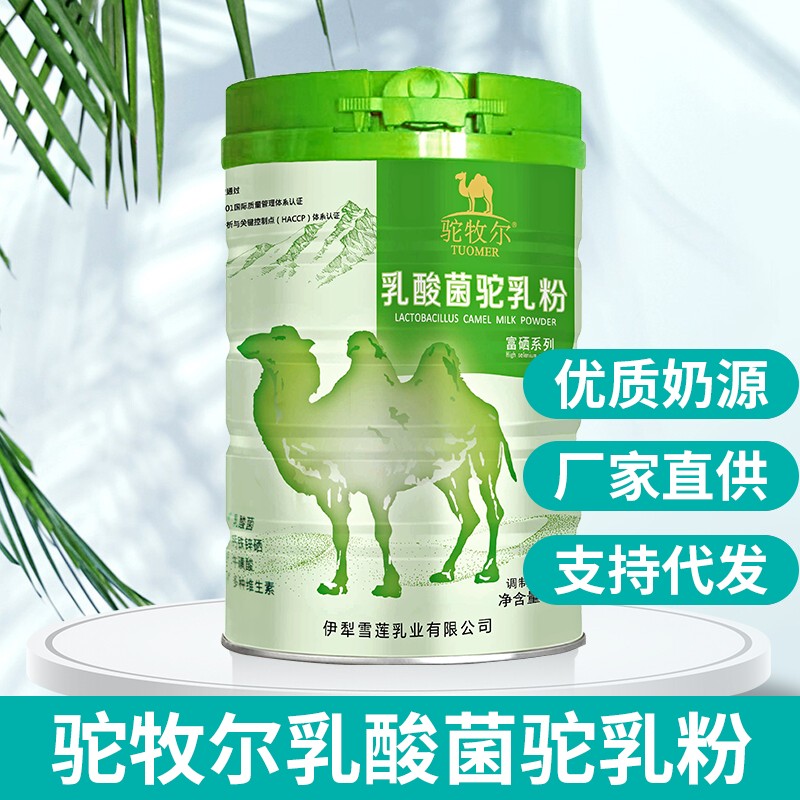 昆明雪蓮乳業駱駝奶粉廠 駝奶 喝駱駝奶粉作用