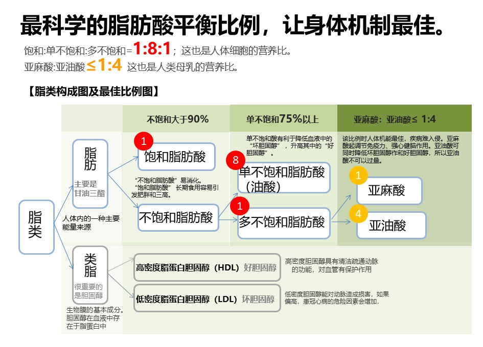 信阳茶籽油