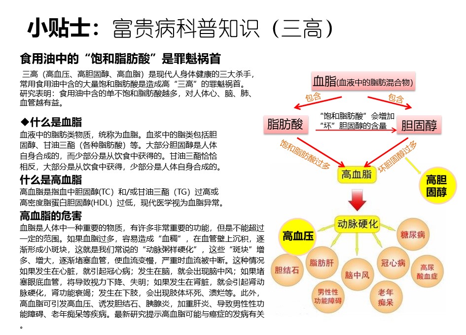 大连茶油批发