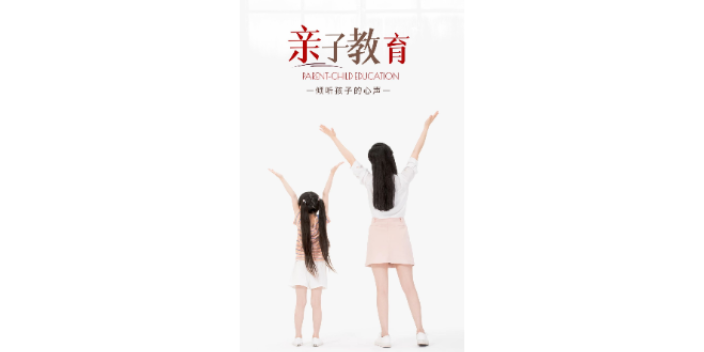 井陘B站抖音搜索智慧教子觀 真誠推薦 河北鼎億圣銘科技供應