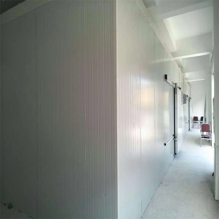 南溪冷鏈凍庫 西充凍庫保溫板安裝 方案預算