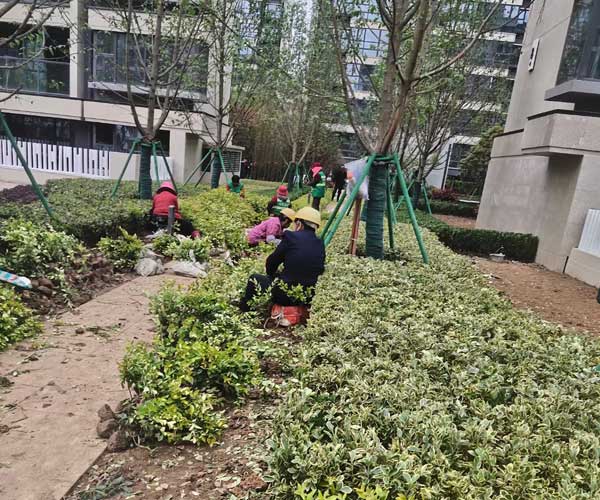 安慶屋頂花園施工 安徽綠派園林