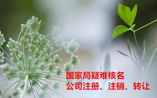 蒙古無區域核名落地流程