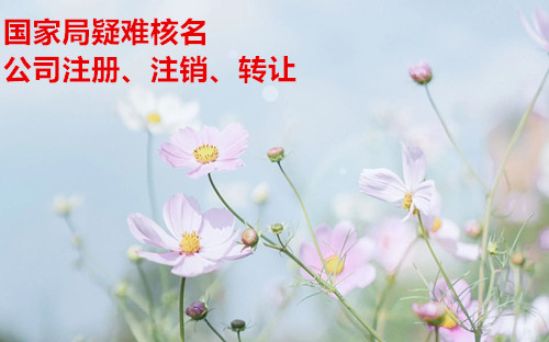 辦理無區(qū)域核名情況說明