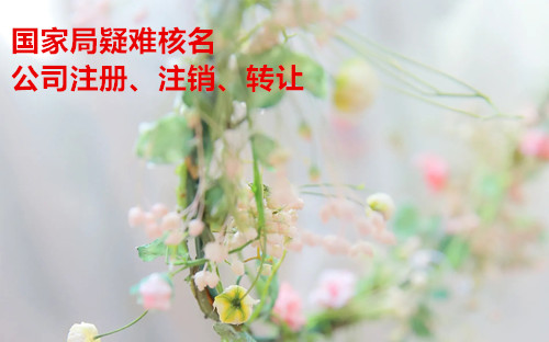 蒙古無區域核名方法+流程