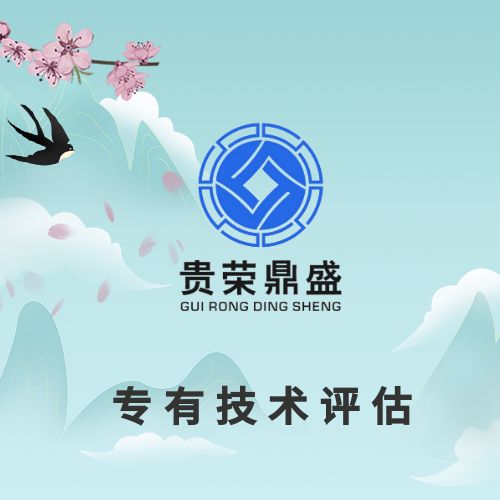 上海市专有技术评估无形资产评估**评估机构