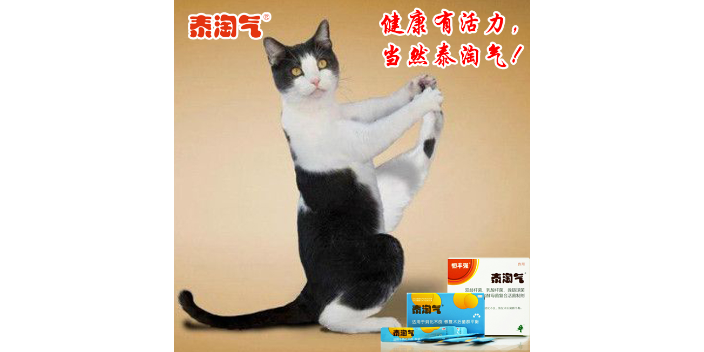 猫猫宠物益生菌测评,宠物益生菌