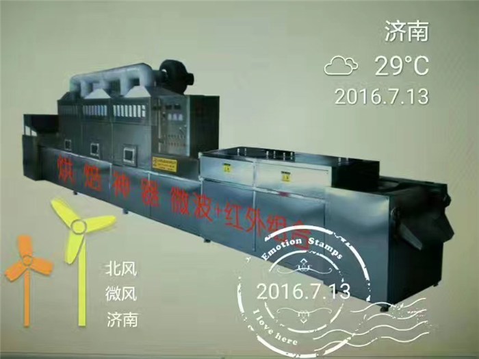 小型微波熟化設備公司-科弘微波實力廠家