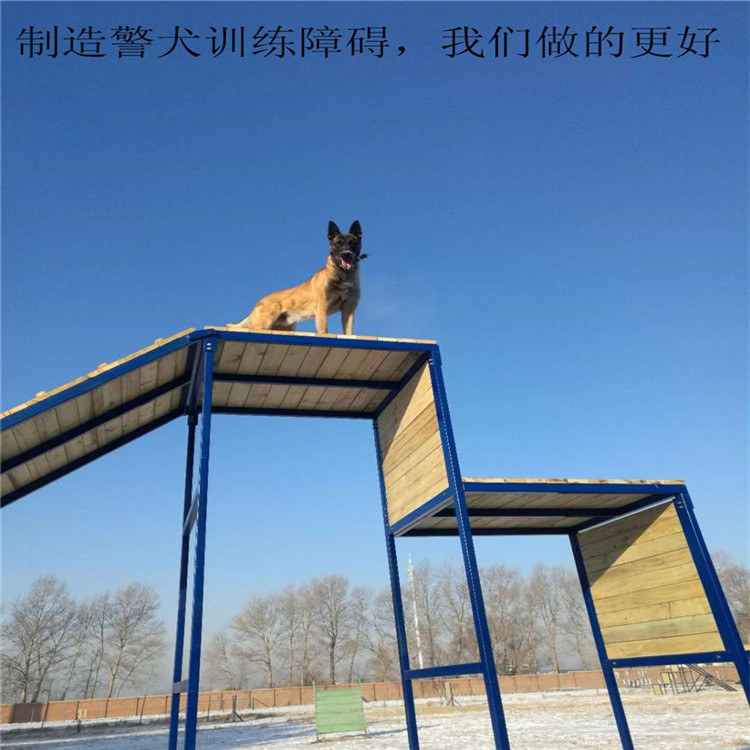 军犬训练设施