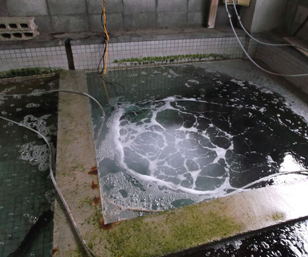 純氧微納米氣泡一體機技術-禹創(chuàng)環(huán)境實力廠家