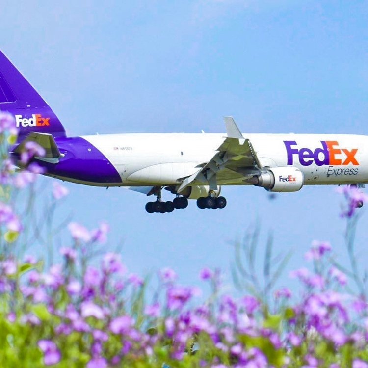 温州FedEx联邦国际快递收费