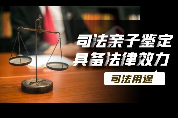 南寧入戶親子鑒定價格/費用 大型DNA親子鑒定中心