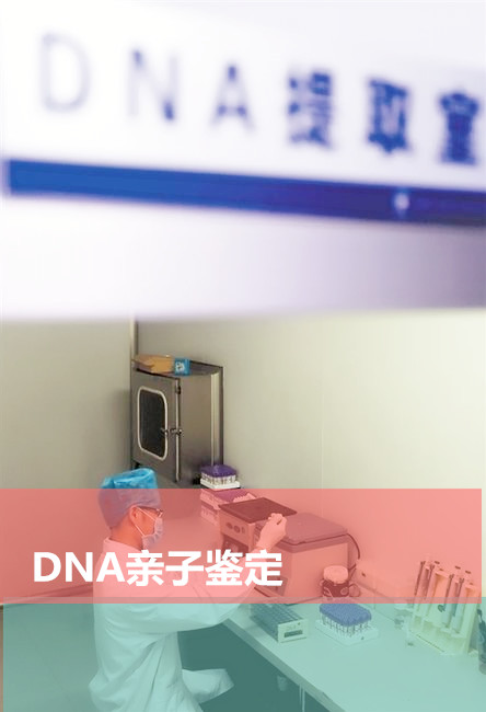 梧州落戶親子鑒定材料和流程 鑒定報告具有法律效力
