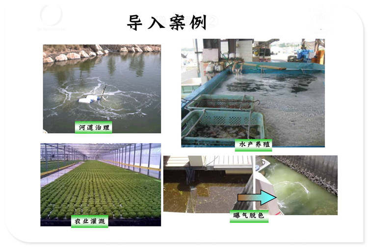 濮陽大型富氫微納米氣泡儀-朗派科技誠信廠家