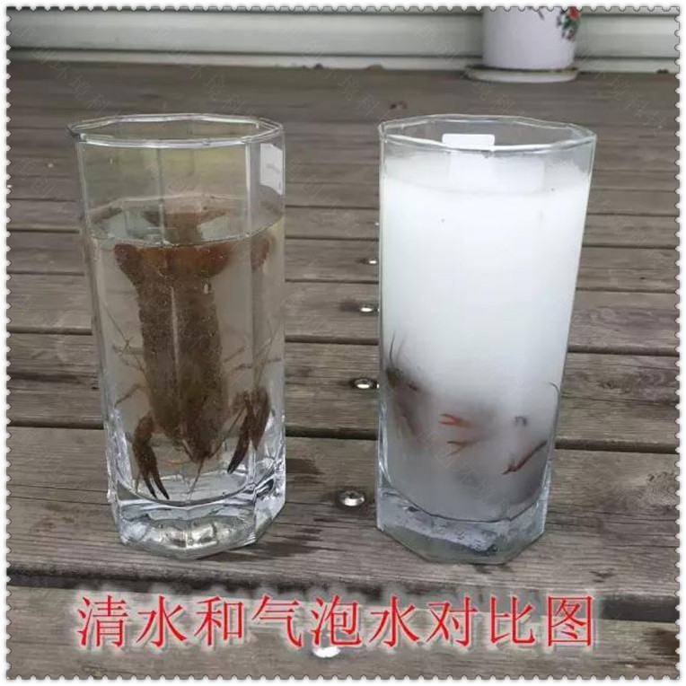 魚塘用微納米氣泡機(jī)作用-禹創(chuàng)環(huán)境實(shí)力廠家