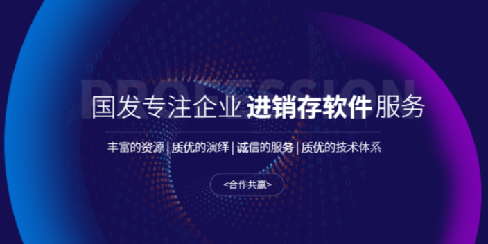 長期可靠的進銷存軟件服務好 真誠推薦 淮安國發軟件供應