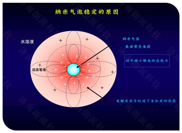 臺州微納米氣泡富氫水廠家-朗派科技誠信廠家